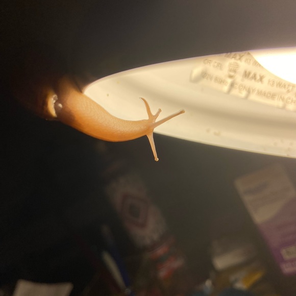 Meet your Posher, Matthew - Picture 7 of 15